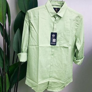 Light Olive Color